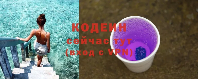 цены   Бакал  Кодеин Purple Drank 